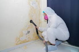 Best Forensic Mold Investigation  in Trafalgar, IN